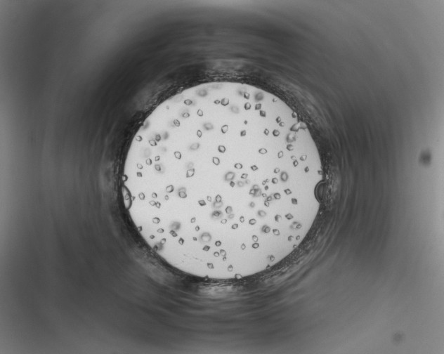 X0000116620759201001081231