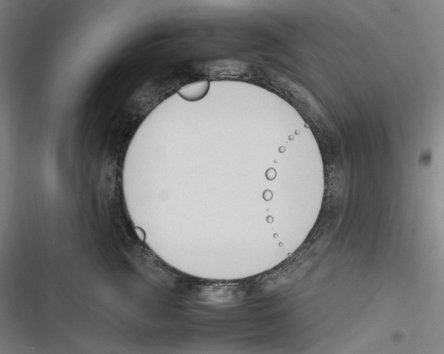 X0000116620761201001081231