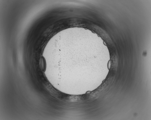 X0000116620762201001081231