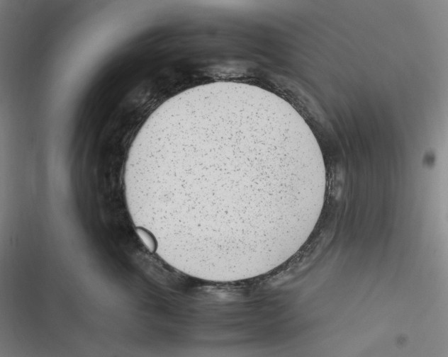 X0000116620763201001081231