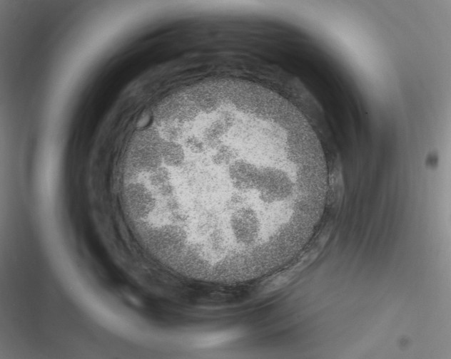 X0000116620765201001081231