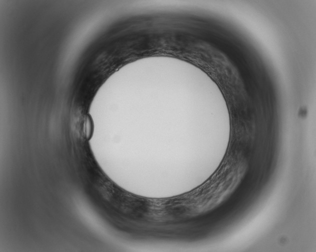 X0000116620766201001081231