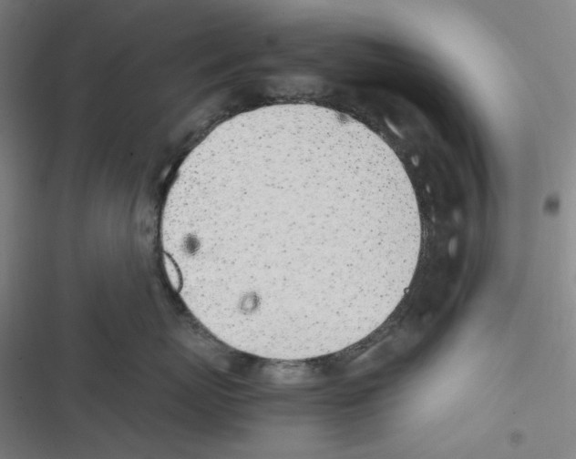 X0000116620767201001081231