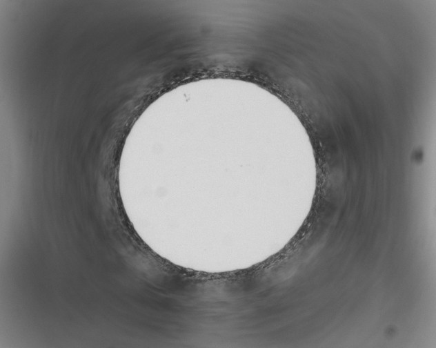 X0000116620769201001081231