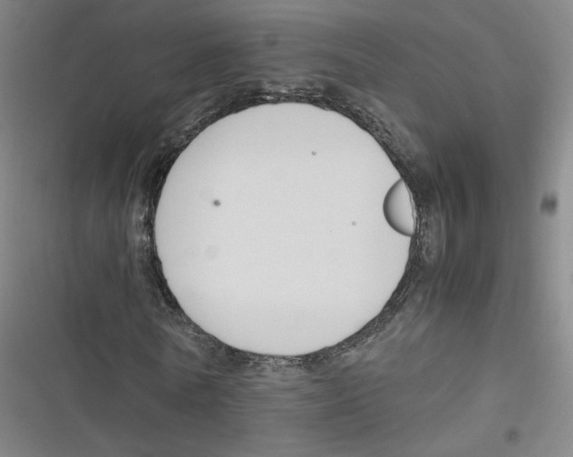 X0000116620770201001081231