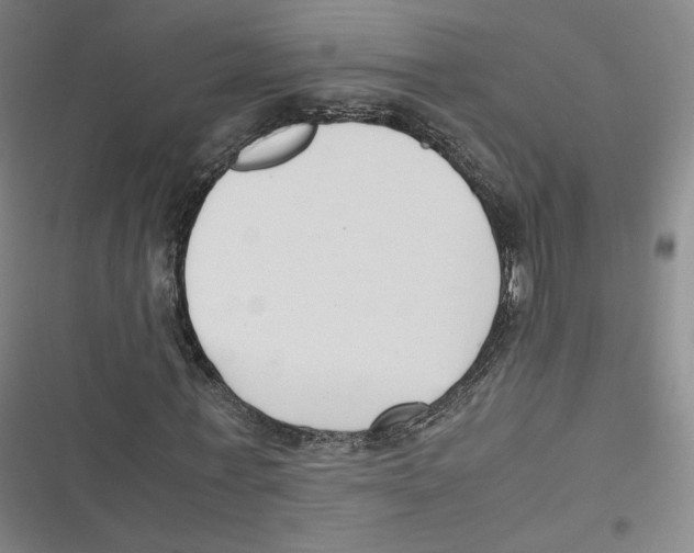 X0000116620771201001081231