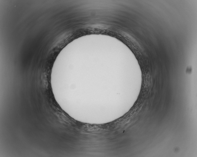 X0000116620774201001081231