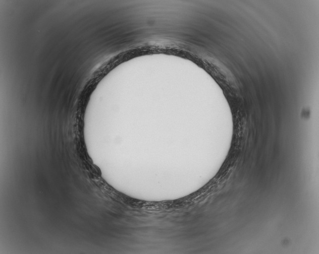 X0000116620776201001081231