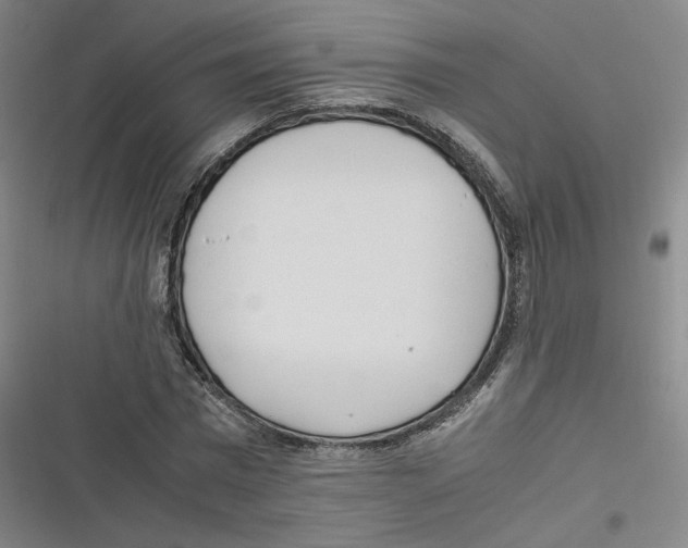 X0000116620777201001081231