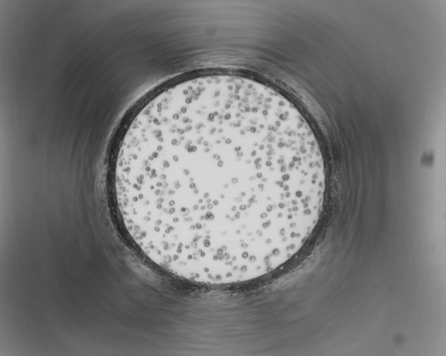 X0000116620779201001081231