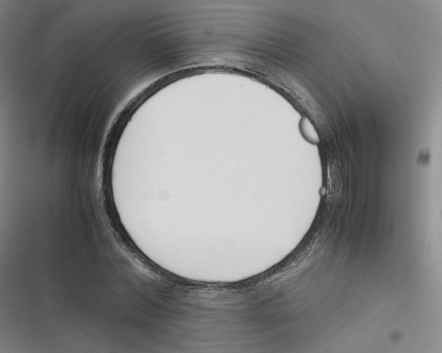 X0000116620780201001081231