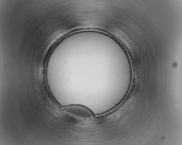 X0000116620781201001081231