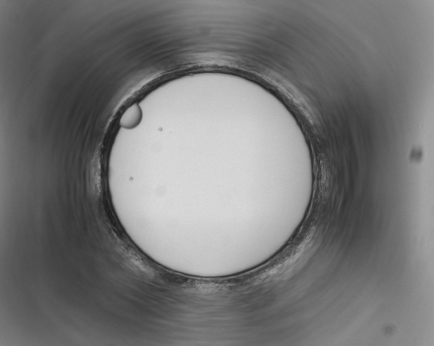 X0000116620782201001081231