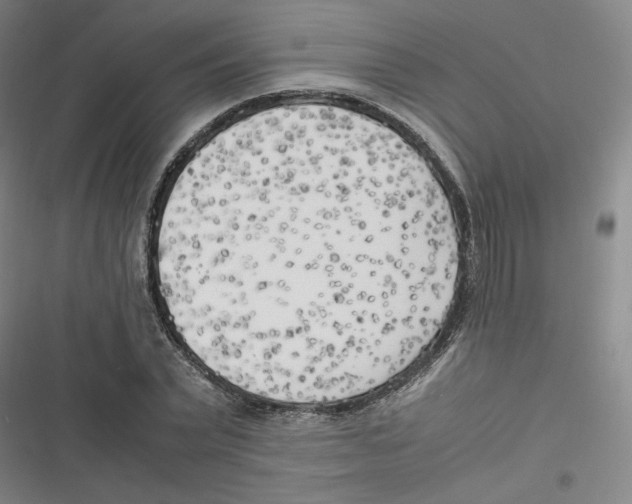 X0000116620783201001081231