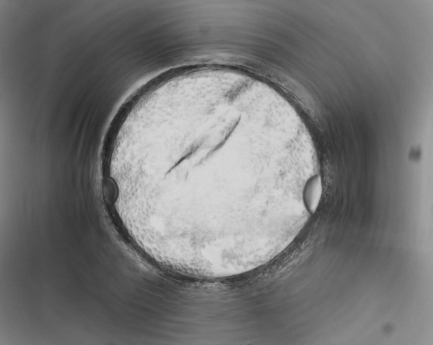 X0000116620784201001081231