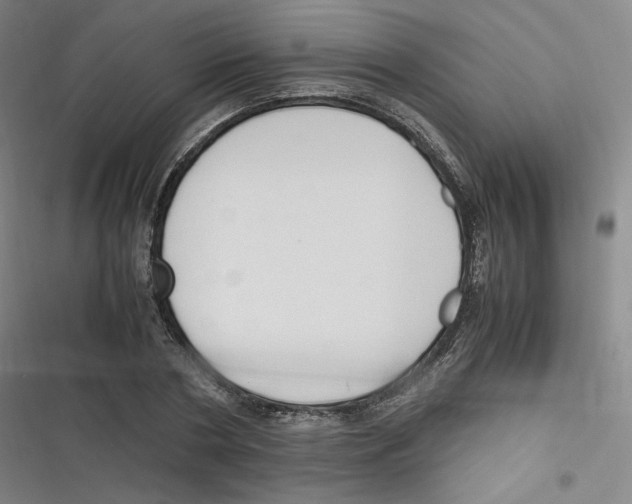 X0000116620786201001081231