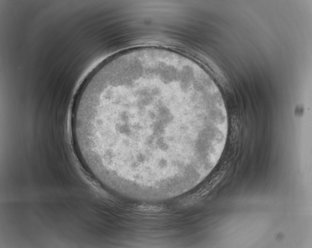 X0000116620788201001081231