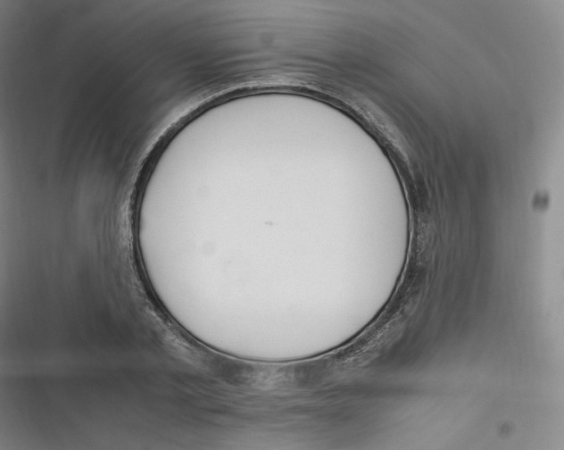 X0000116620789201001081231