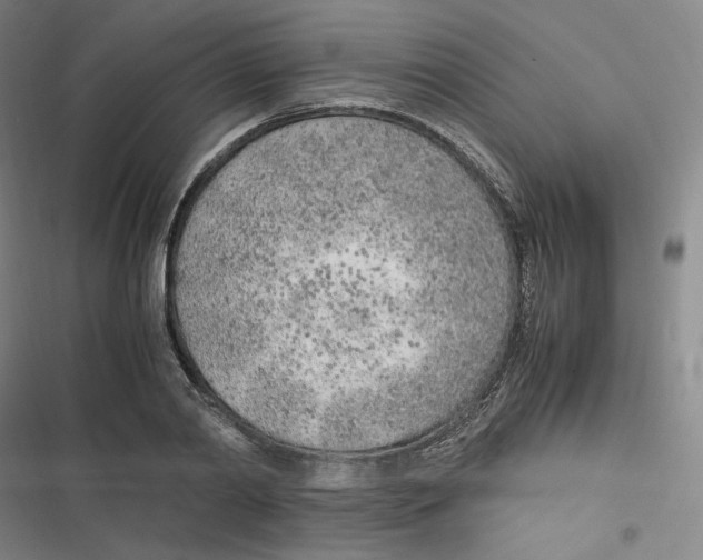 X0000116620790201001081231