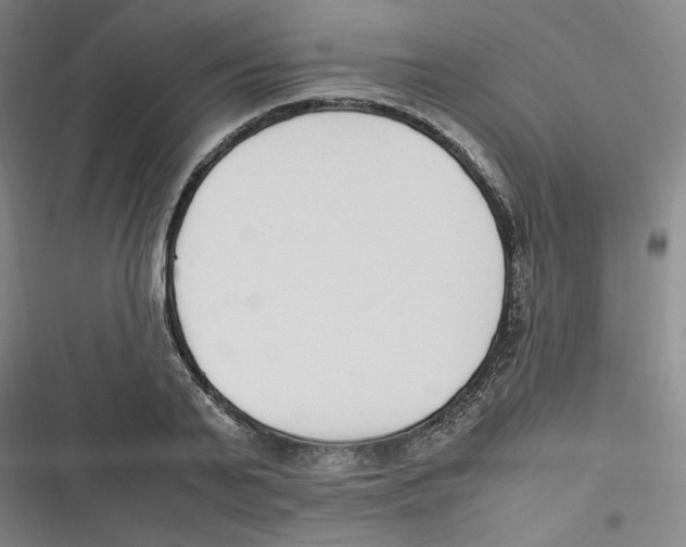 X0000116620791201001081230