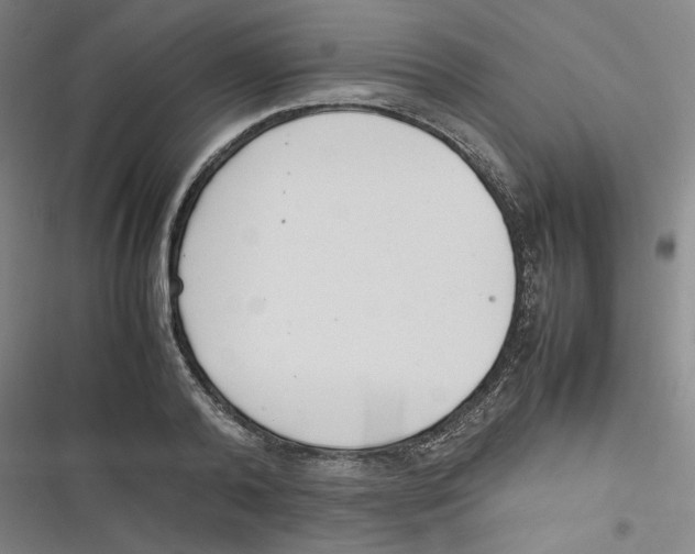 X0000116620792201001081230