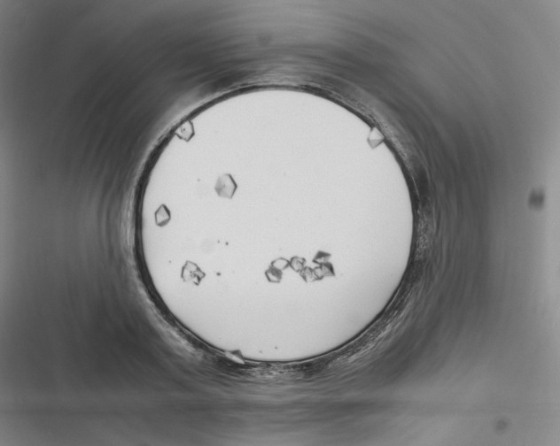 X0000116620795201001081230