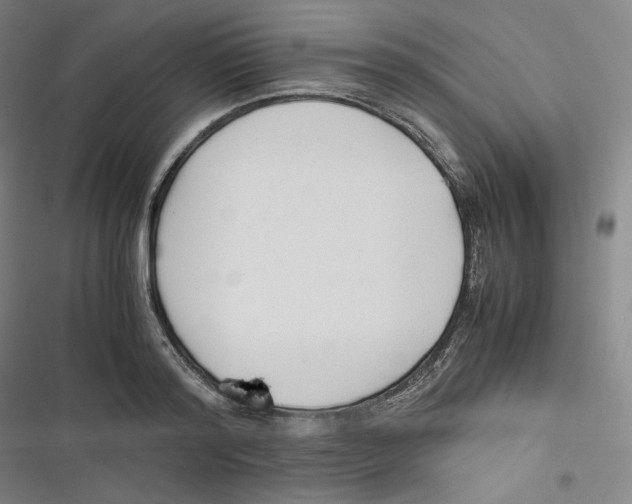 X0000116620796201001081230