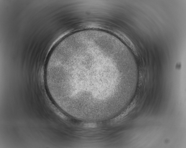 X0000116620798201001081230