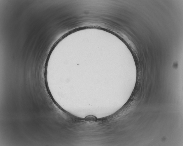 X0000116620799201001081230