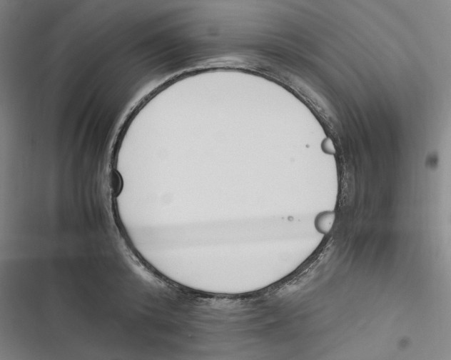 X0000116620800201001081230