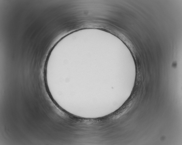 X0000116620803201001081230