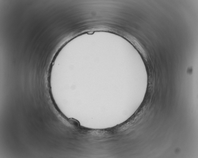 X0000116620805201001081230