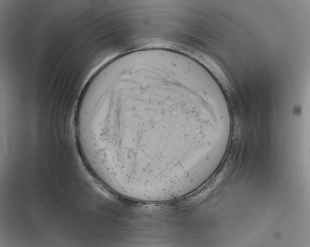 X0000116620806201001081230