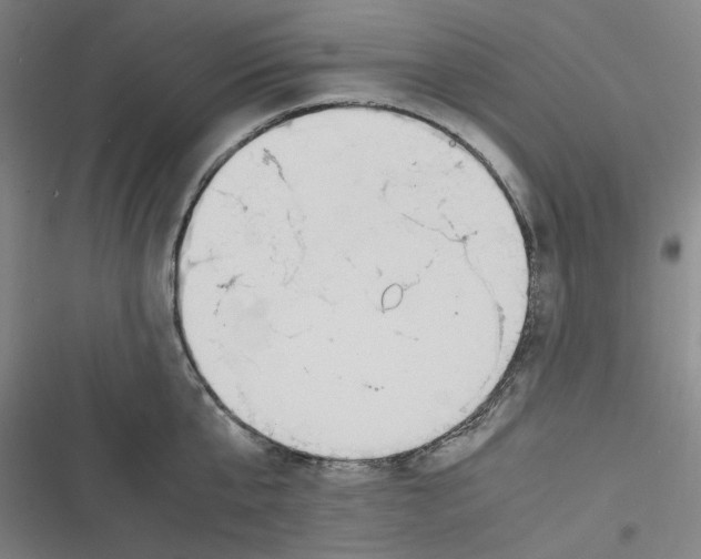 X0000116620807201001081230