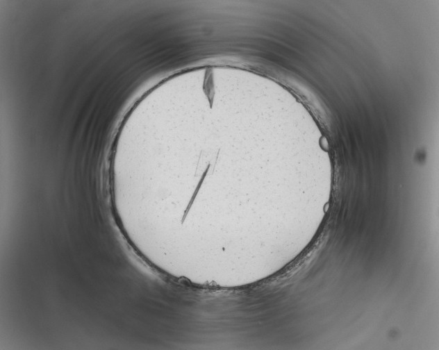 X0000116620808201001081230