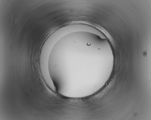 X0000116620809201001081230