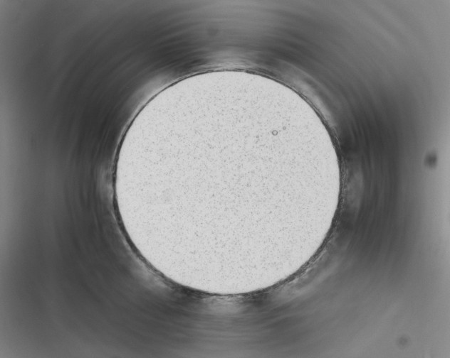 X0000116620810201001081230