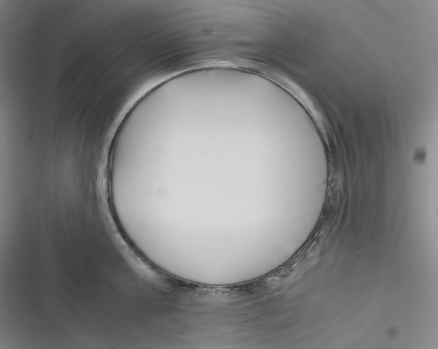 X0000116620811201001081230