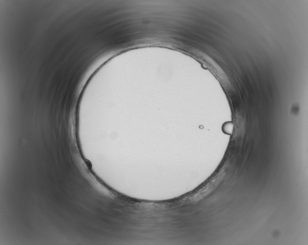 X0000116620812201001081230