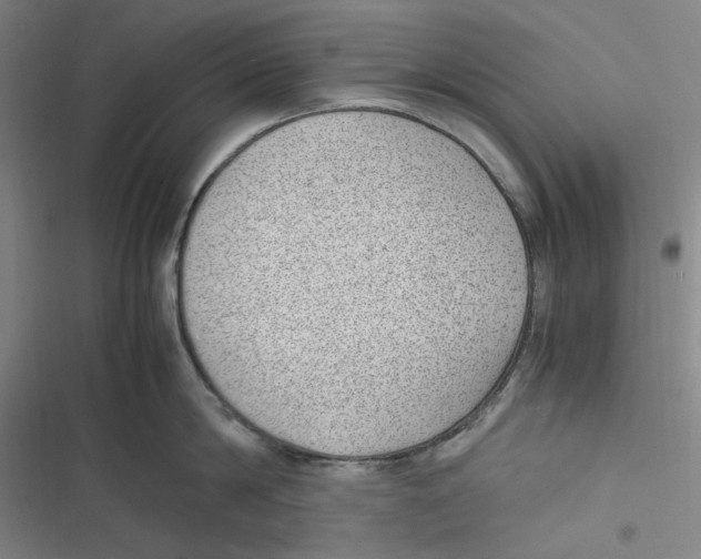 X0000116620814201001081230