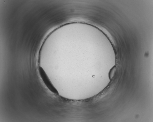 X0000116620815201001081230