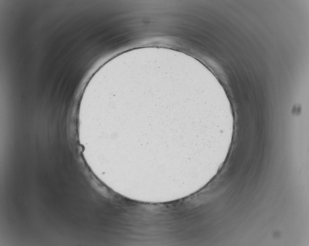 X0000116620816201001081230