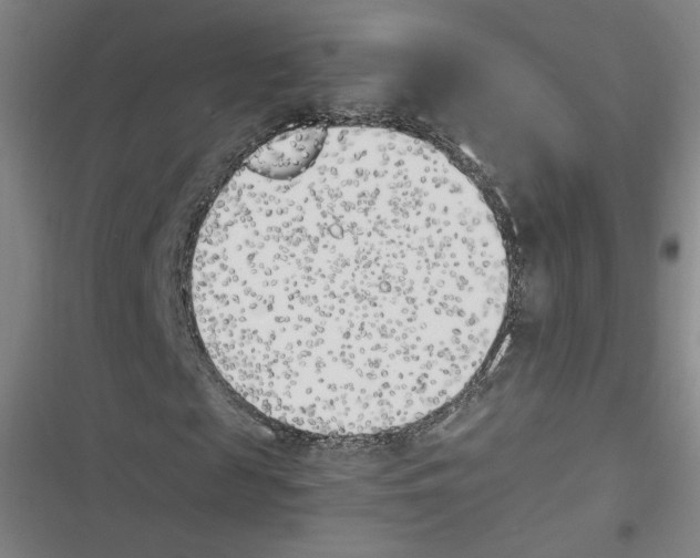 X0000116620817201001081230