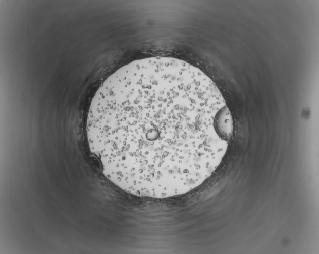 X0000116620818201001081230