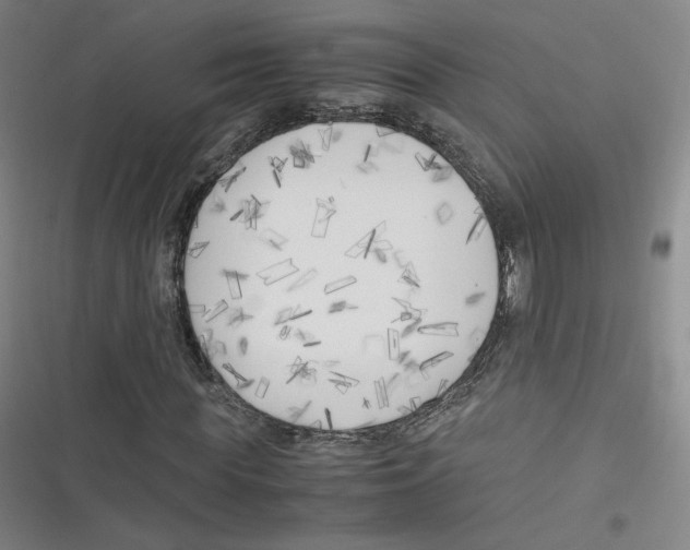 X0000116620819201001081230