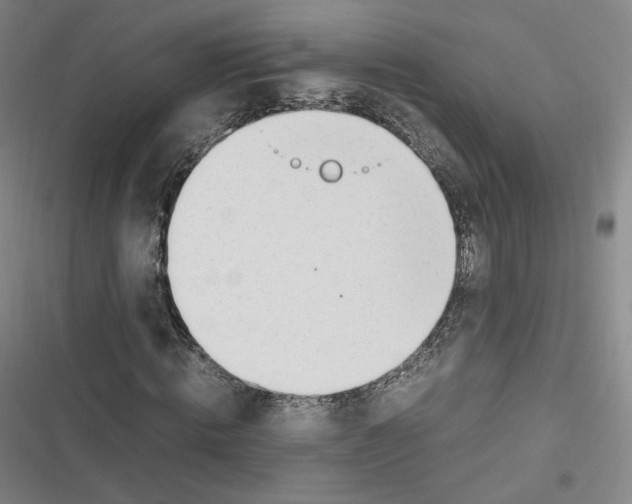 X0000116620820201001081230