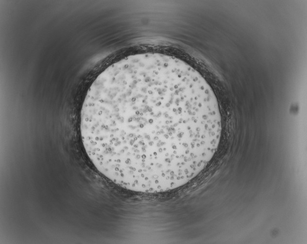 X0000116620822201001081230