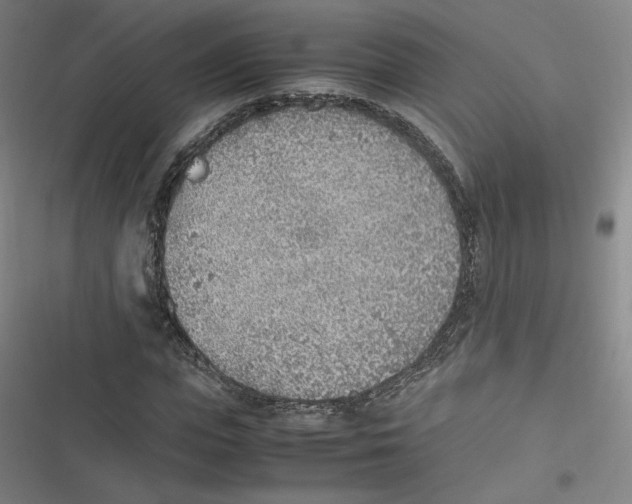 X0000116620823201001081230