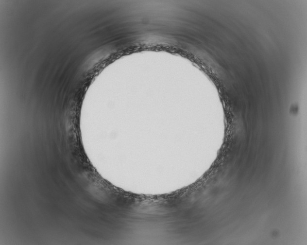 X0000116620824201001081230