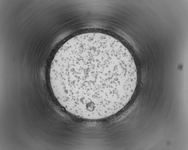 X0000116620826201001081230